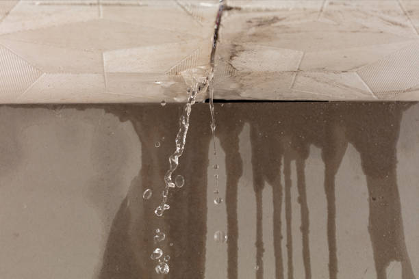 Professional Water Damage Restoration technician working in Windom, TX